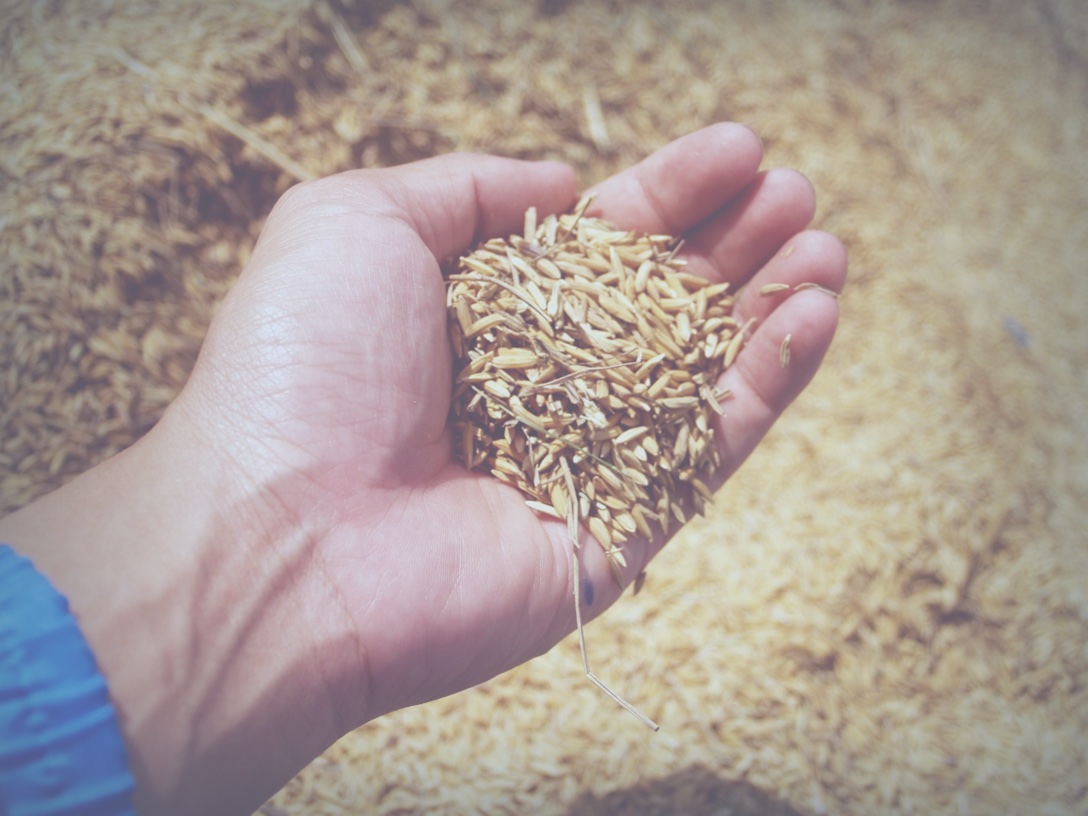 Growing business with purpose, impacting communities with compassion